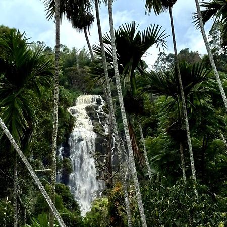 Cozy Homestay Waterfall Road Ella Exterior photo