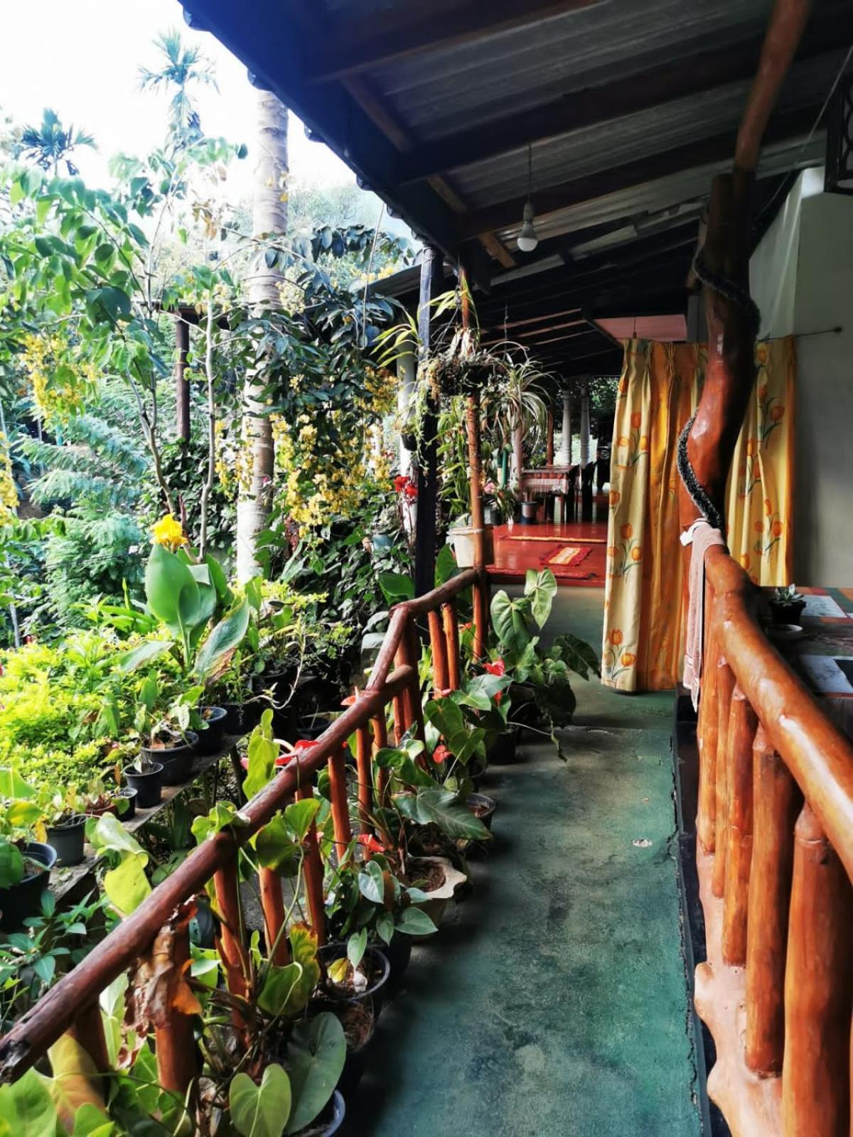 Cozy Homestay Waterfall Road Ella Exterior photo