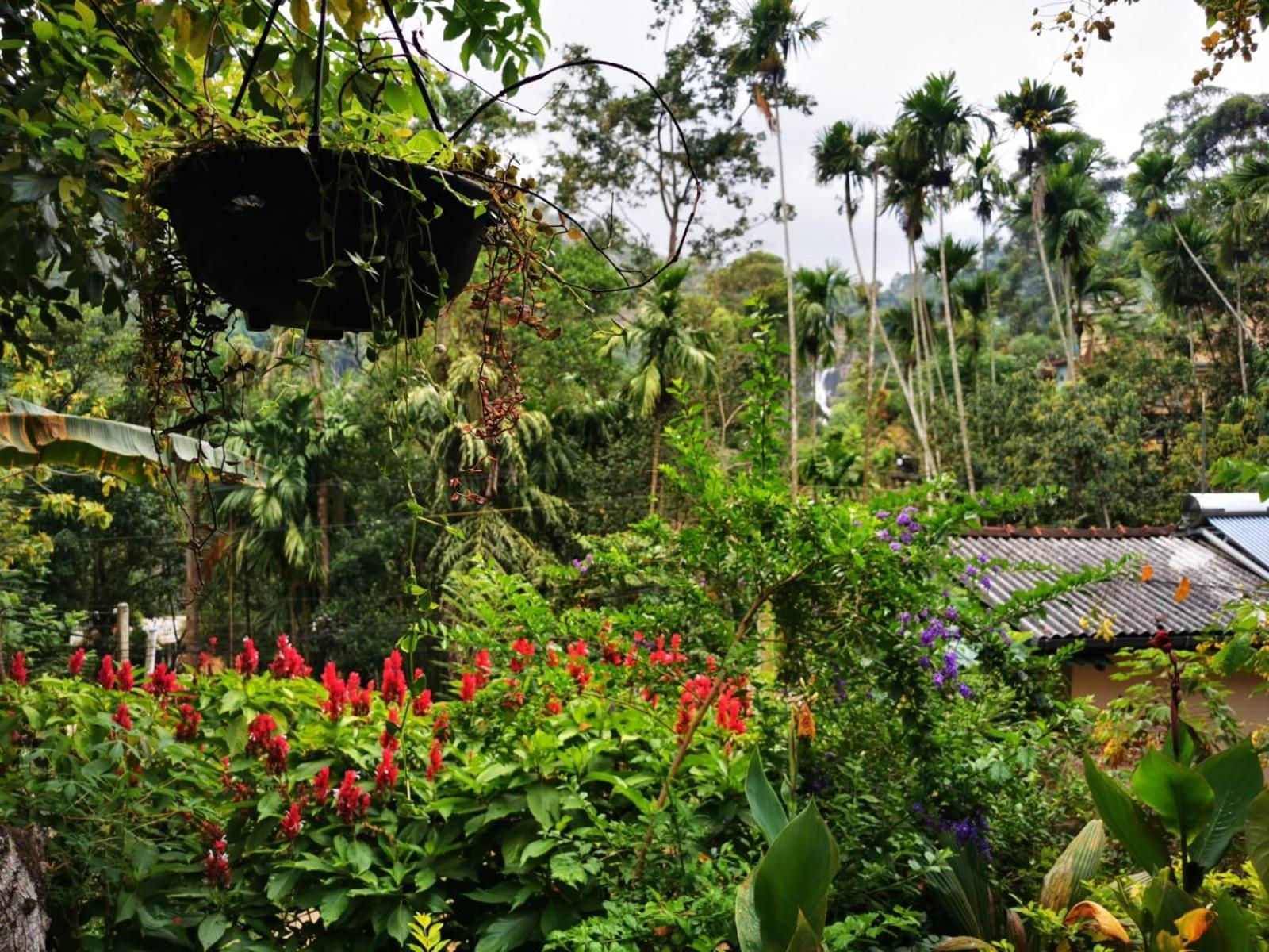 Cozy Homestay Waterfall Road Ella Exterior photo