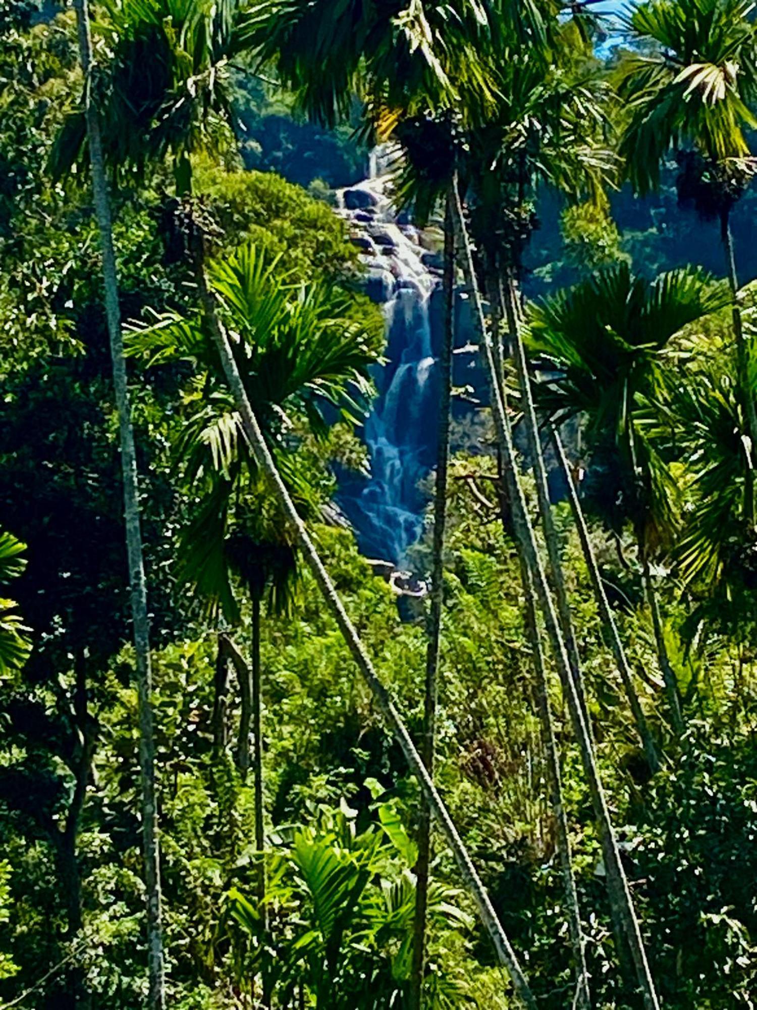 Cozy Homestay Waterfall Road Ella Exterior photo