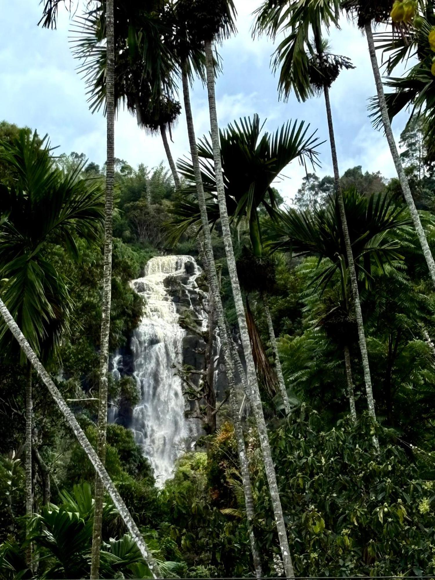 Cozy Homestay Waterfall Road Ella Exterior photo
