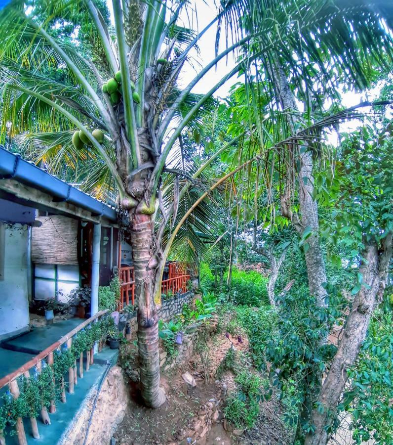 Cozy Homestay Waterfall Road Ella Exterior photo