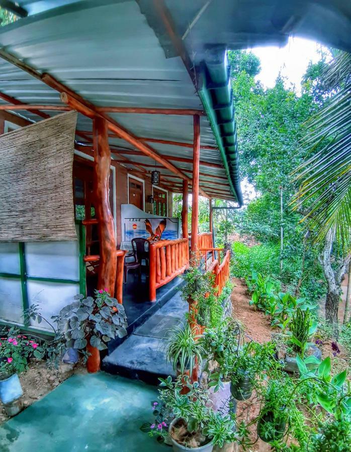 Cozy Homestay Waterfall Road Ella Exterior photo